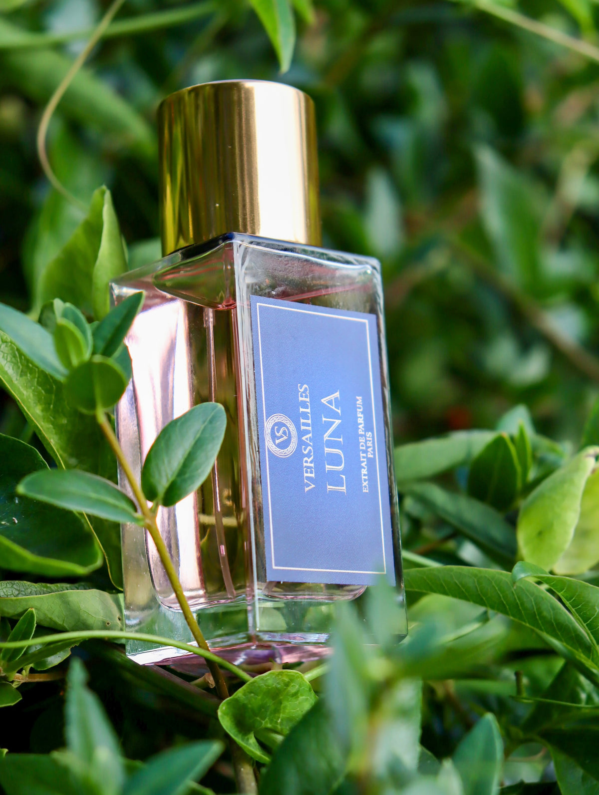 Flacon de parfum luna 50ml Versailles, extrait 30%